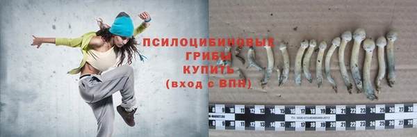 мдпв Володарск