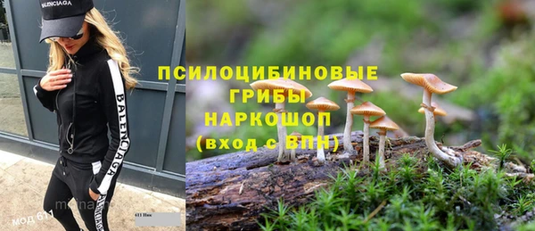 мдпв Волосово